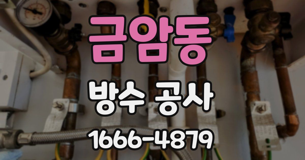 금암동 방수 공사