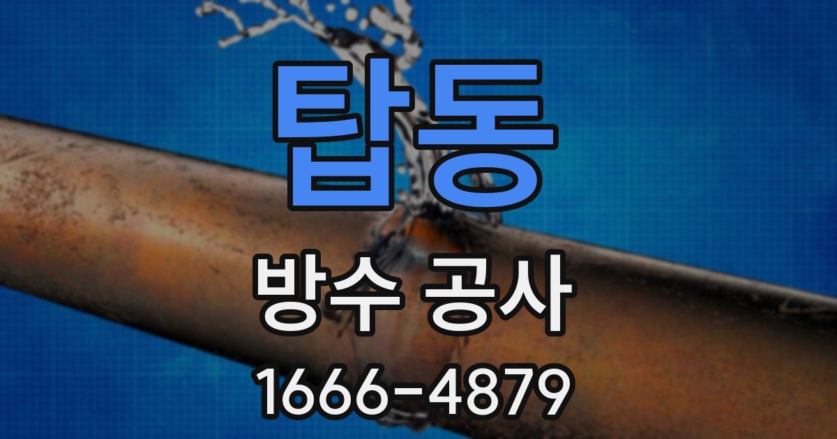 탑동 방수 공사
