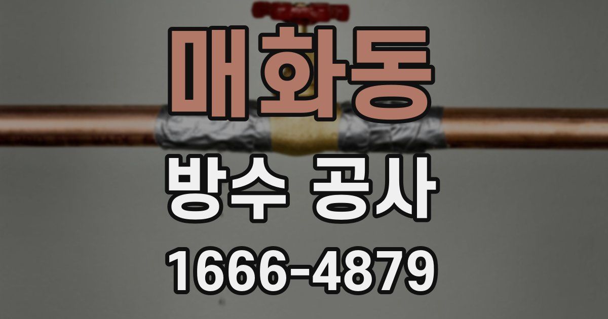 매화동 방수 공사