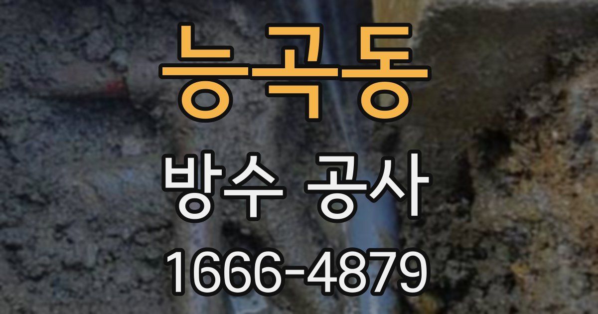 능곡동 방수 공사