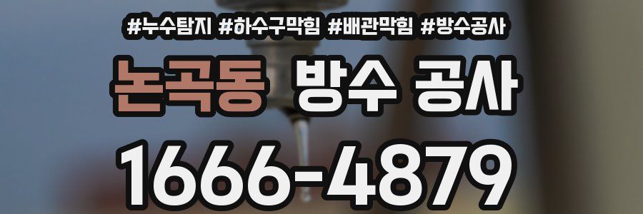 논곡동 방수 공사