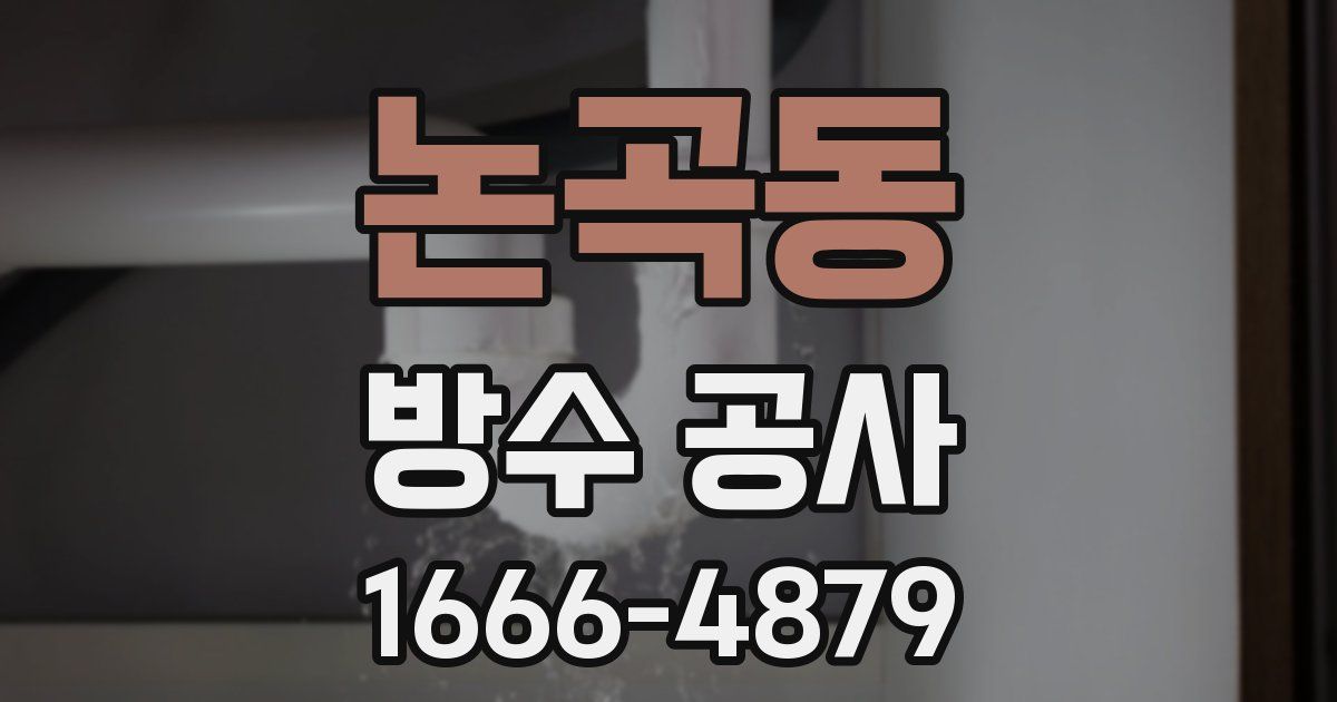 논곡동 방수 공사