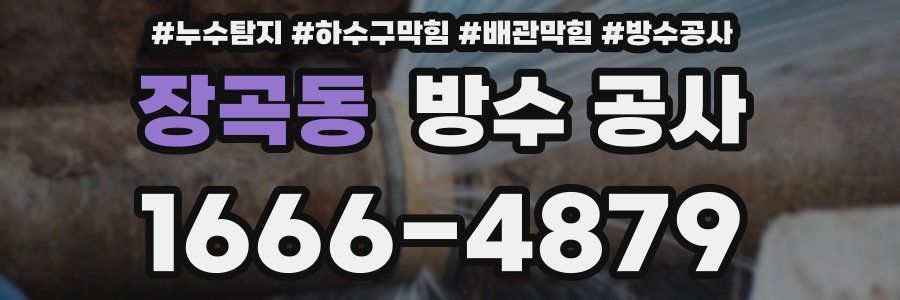 장곡동 방수 공사