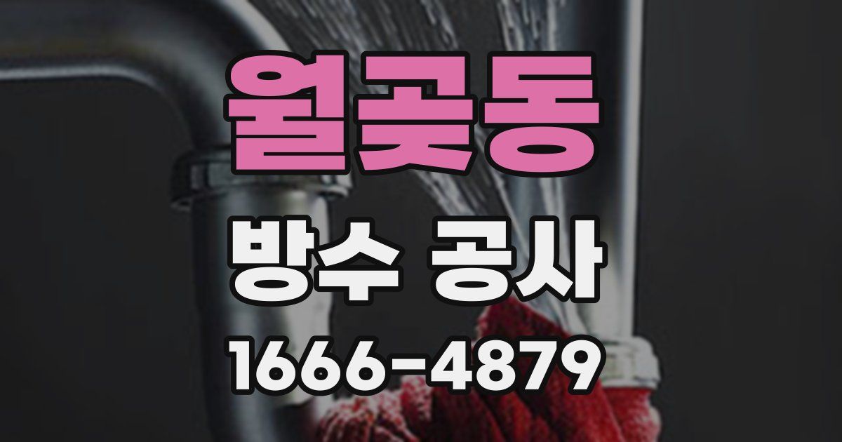월곶동 방수 공사