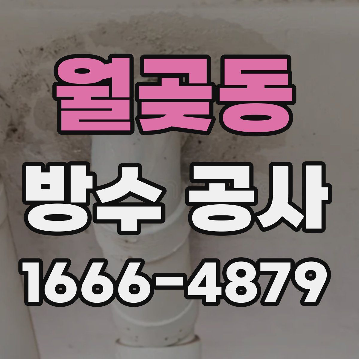 월곶동 방수 공사