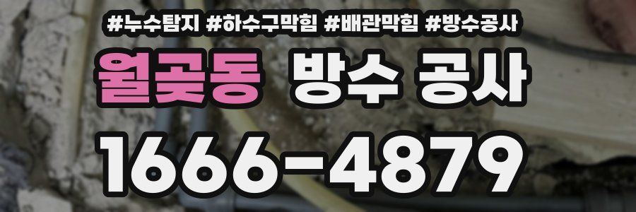 월곶동 방수 공사