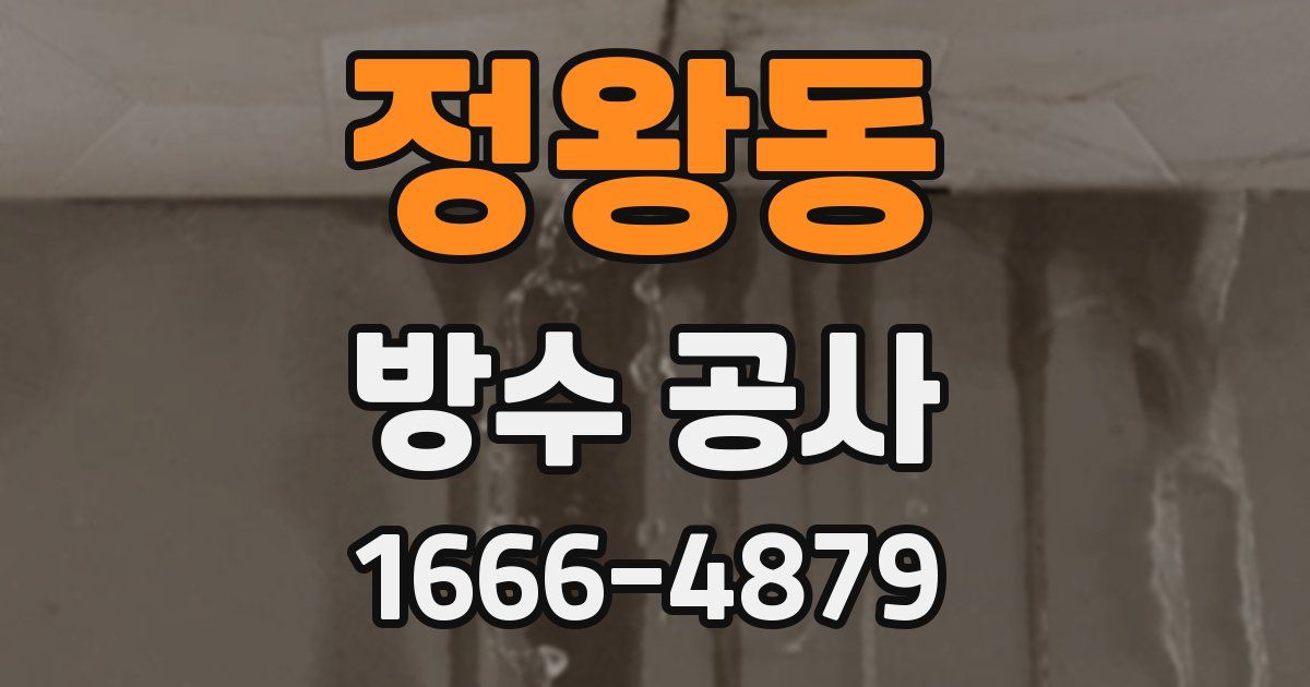 정왕동 방수 공사
