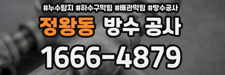 정왕동 방수 공사
