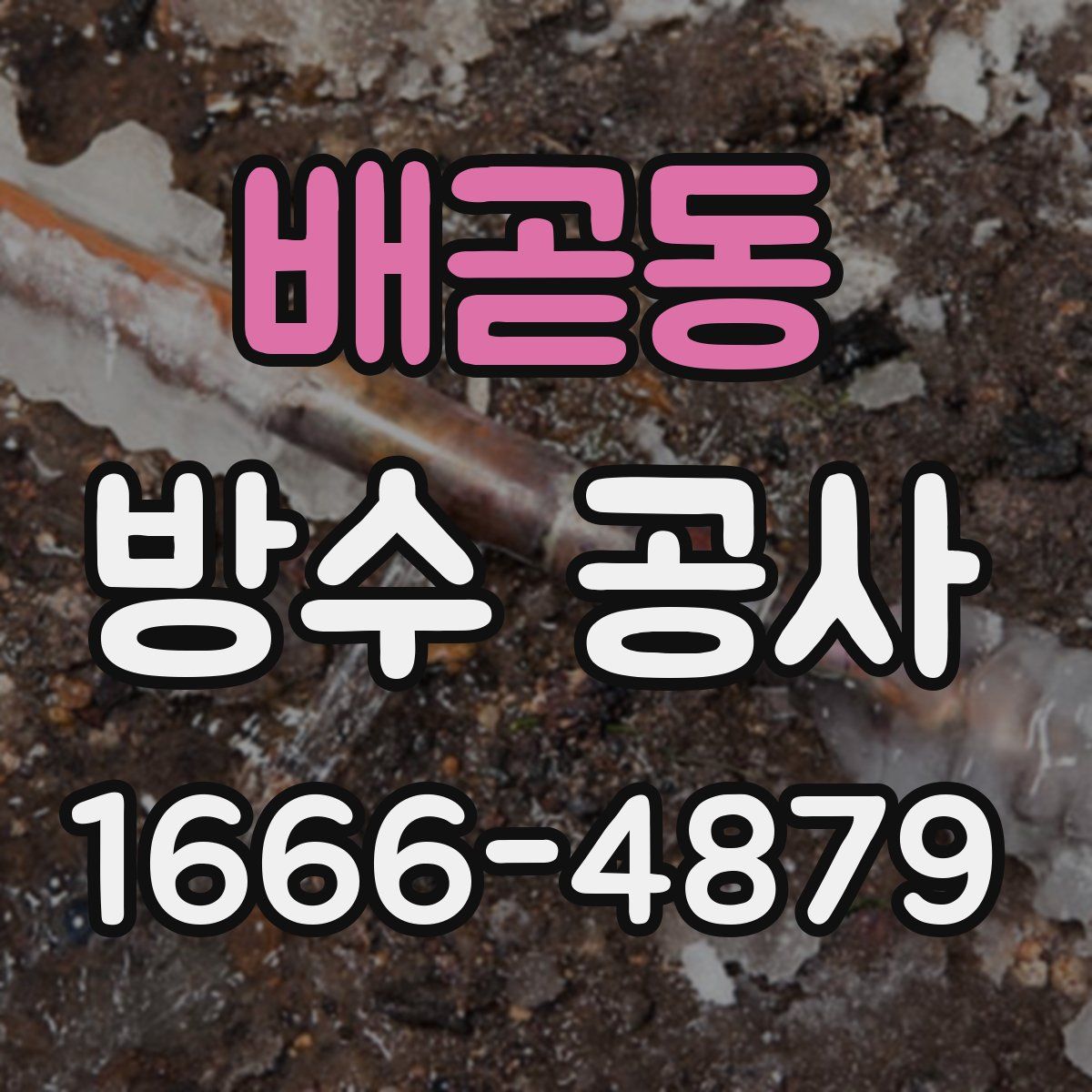 배곧동 방수 공사