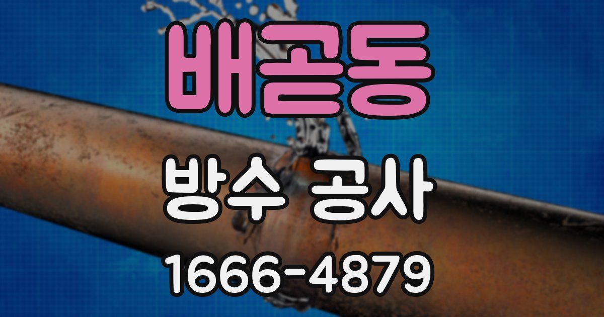 배곧동 방수 공사
