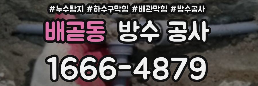 배곧동 방수 공사
