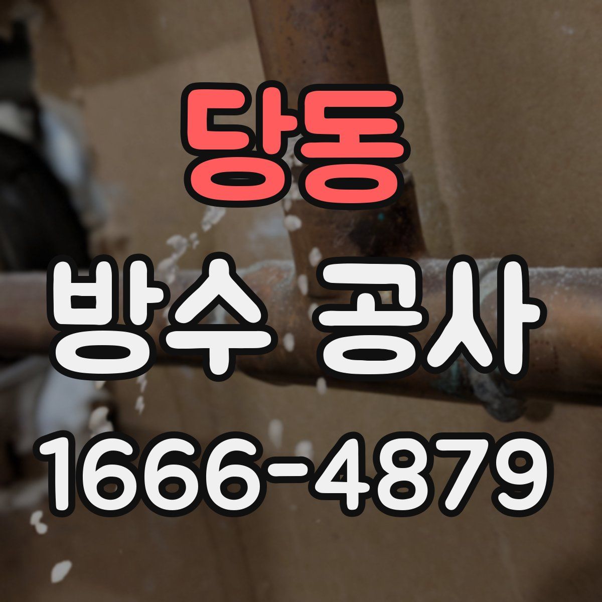 당동 방수 공사
