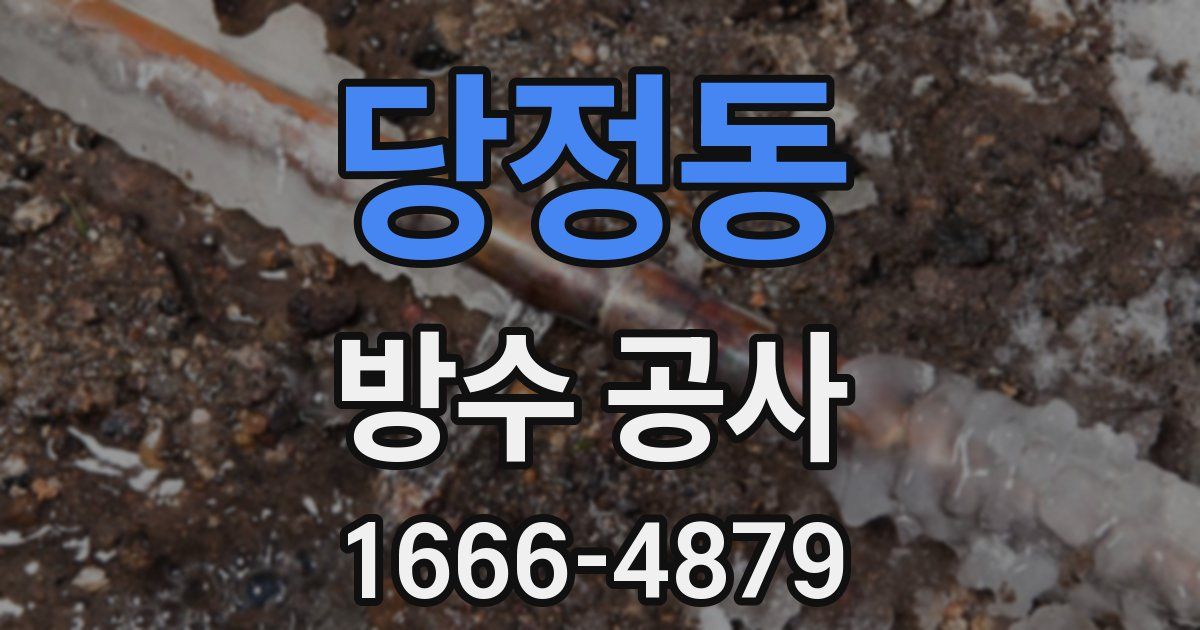 당정동 방수 공사