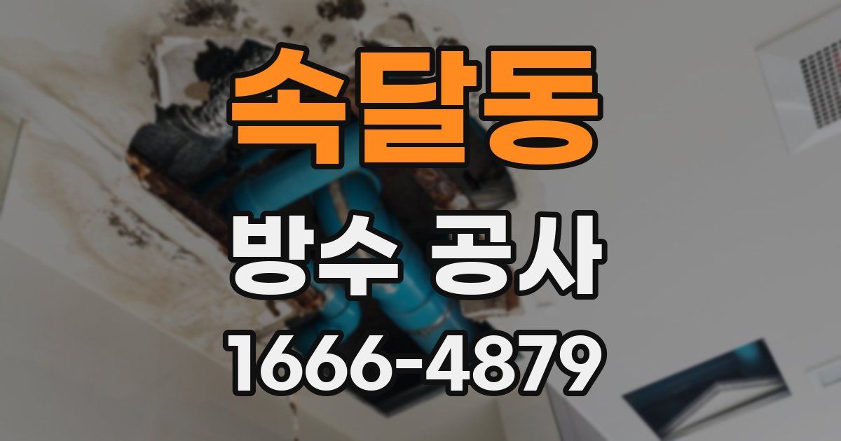 속달동 방수 공사