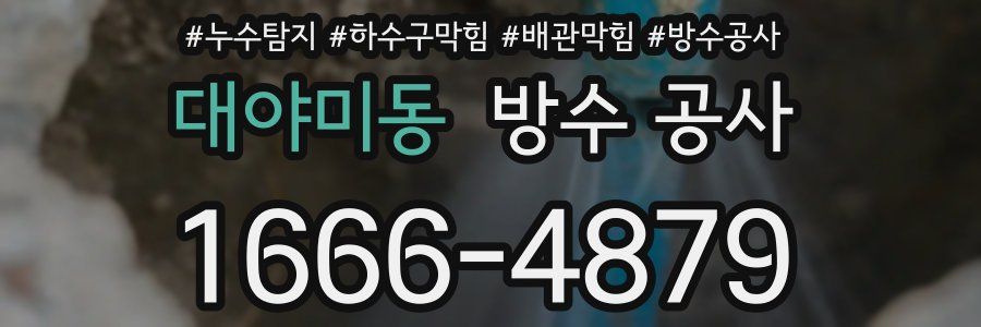 대야미동 방수 공사