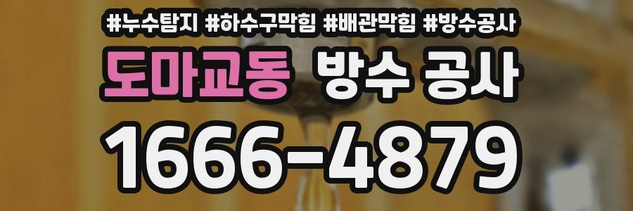 도마교동 방수 공사