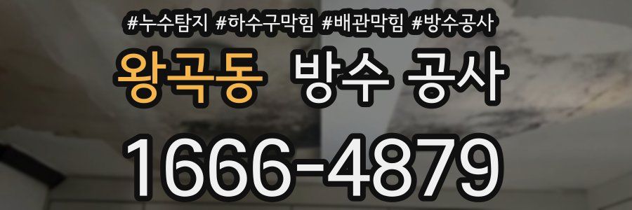 왕곡동 방수 공사