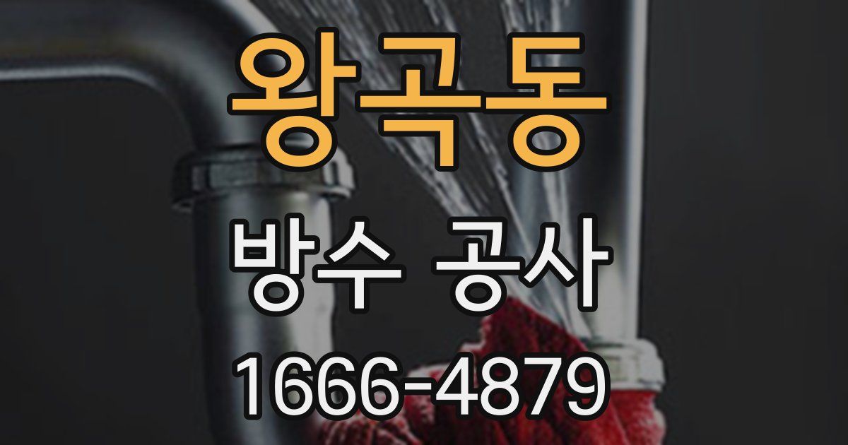 왕곡동 방수 공사
