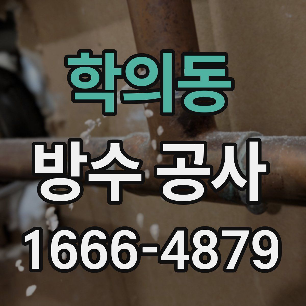 학의동 방수 공사