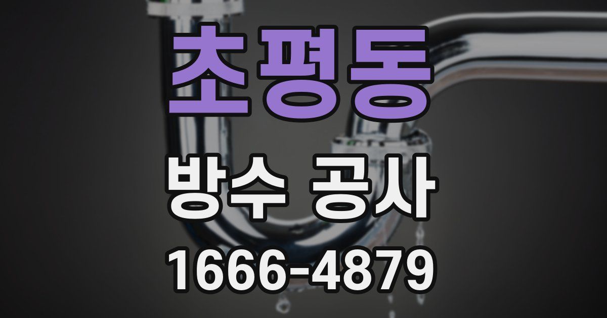 초평동 방수 공사