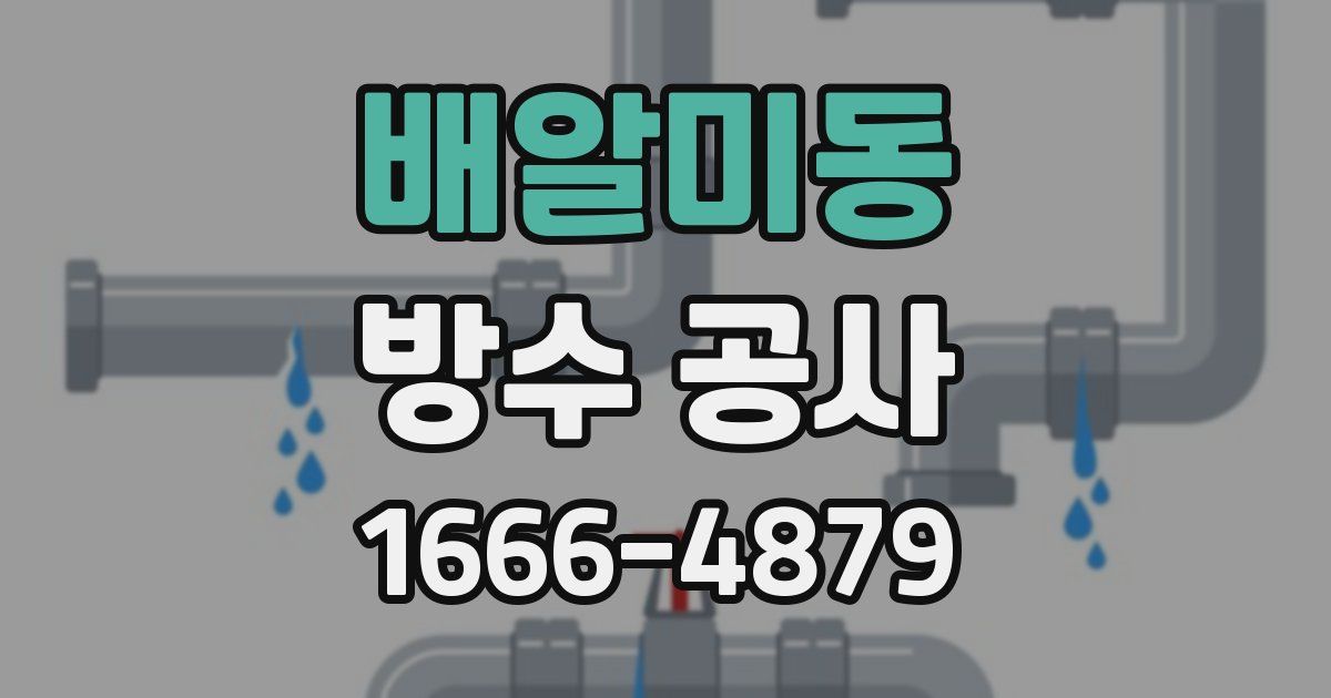 배알미동 방수 공사