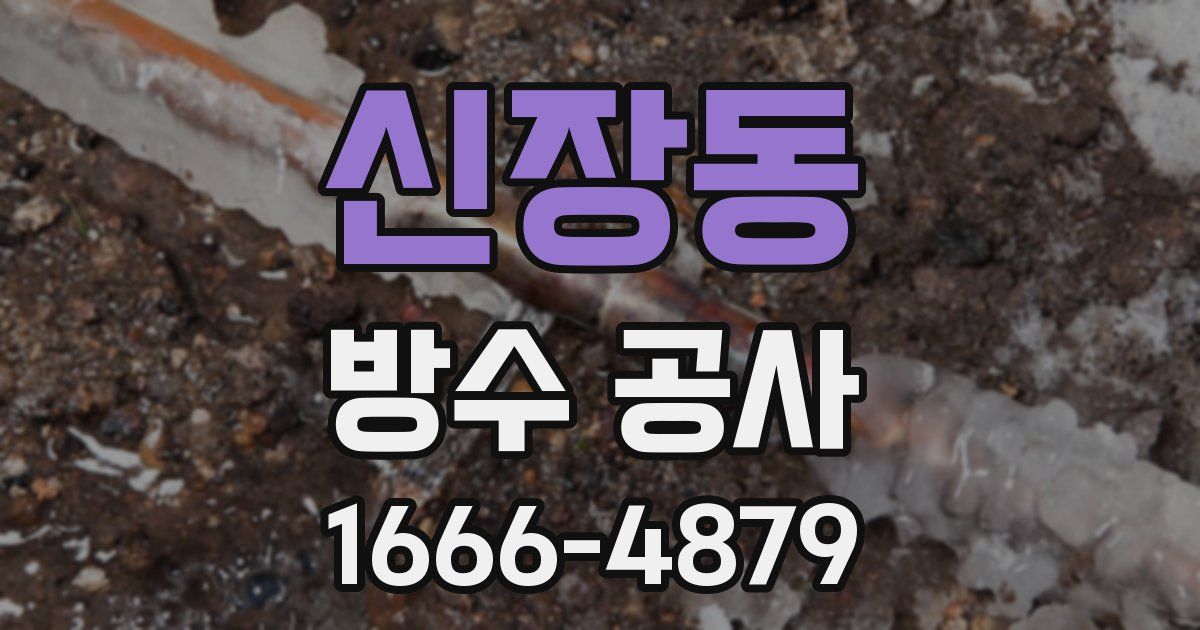 신장동 방수 공사