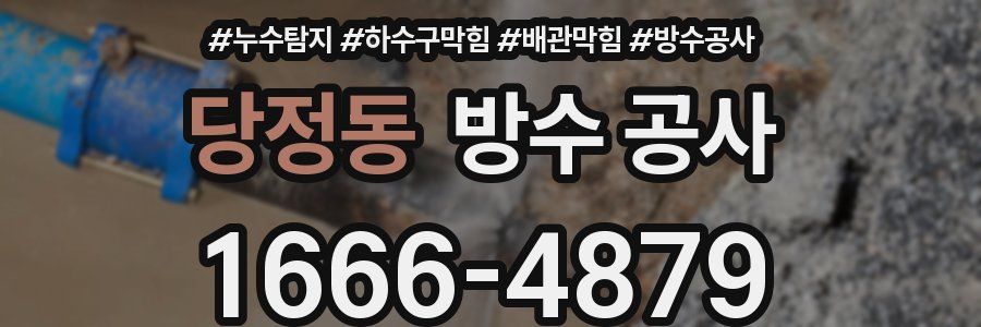 당정동 방수 공사