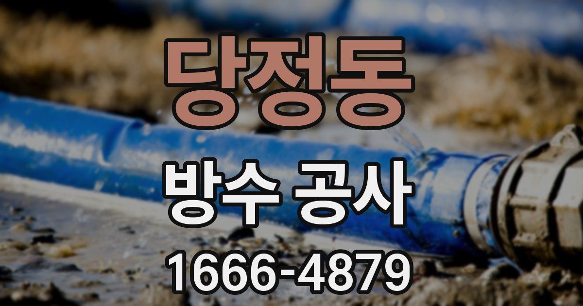 당정동 방수 공사