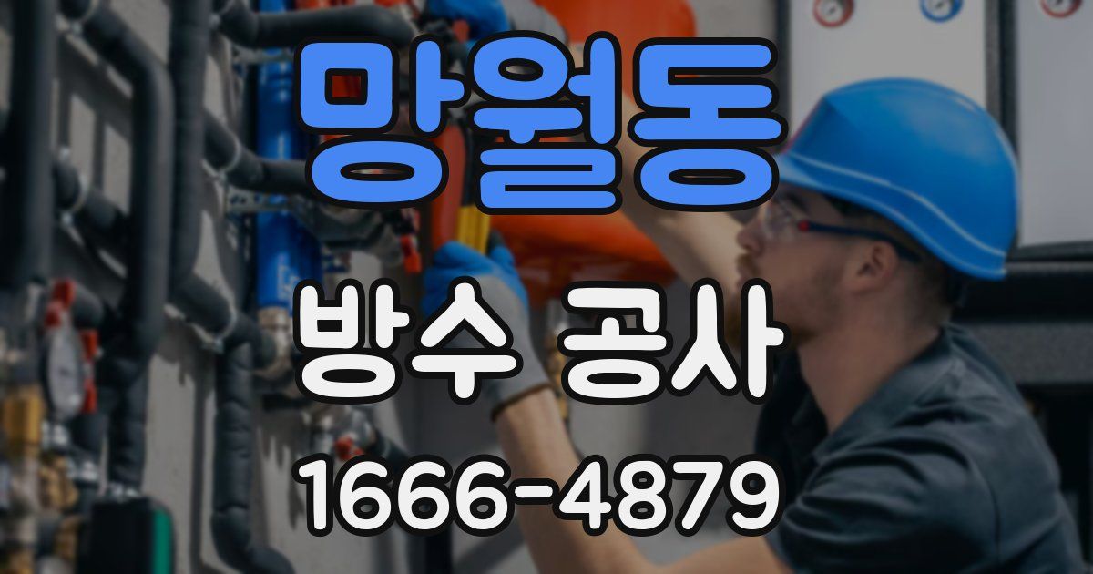망월동 방수 공사