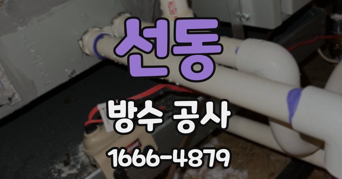 선동 방수 공사
