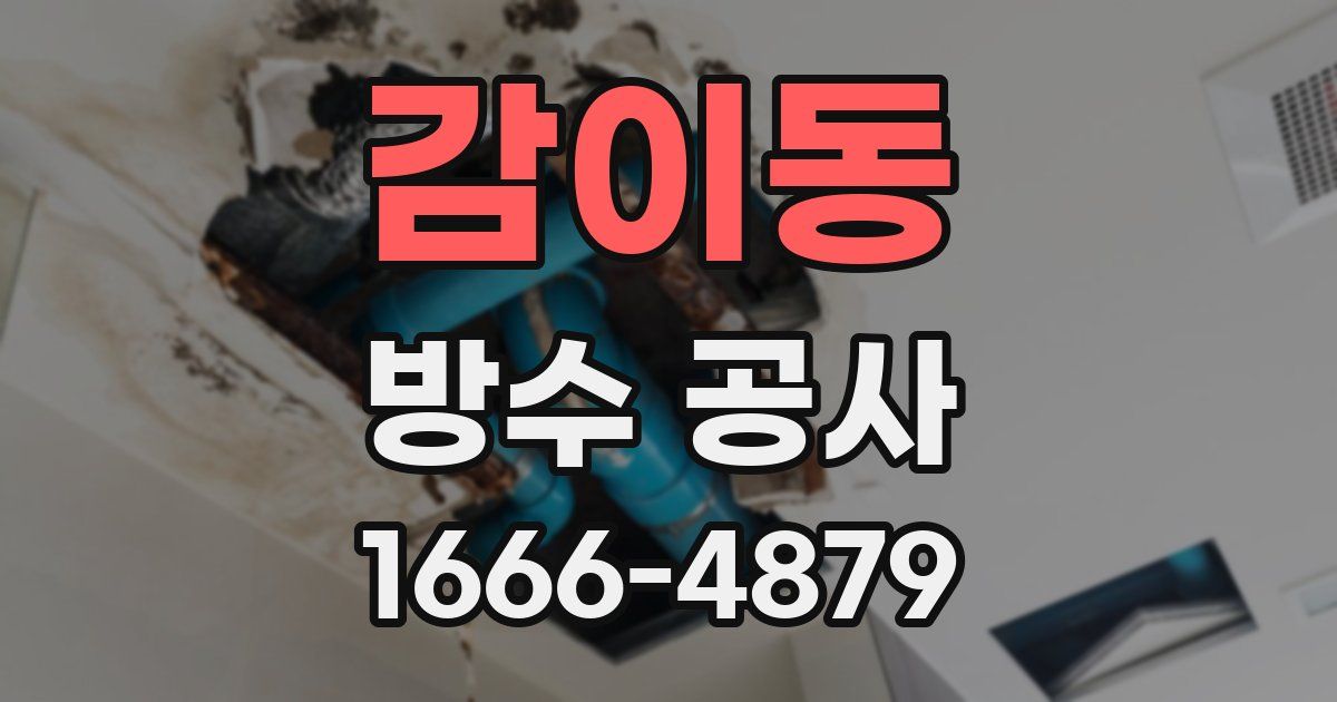 감이동 방수 공사