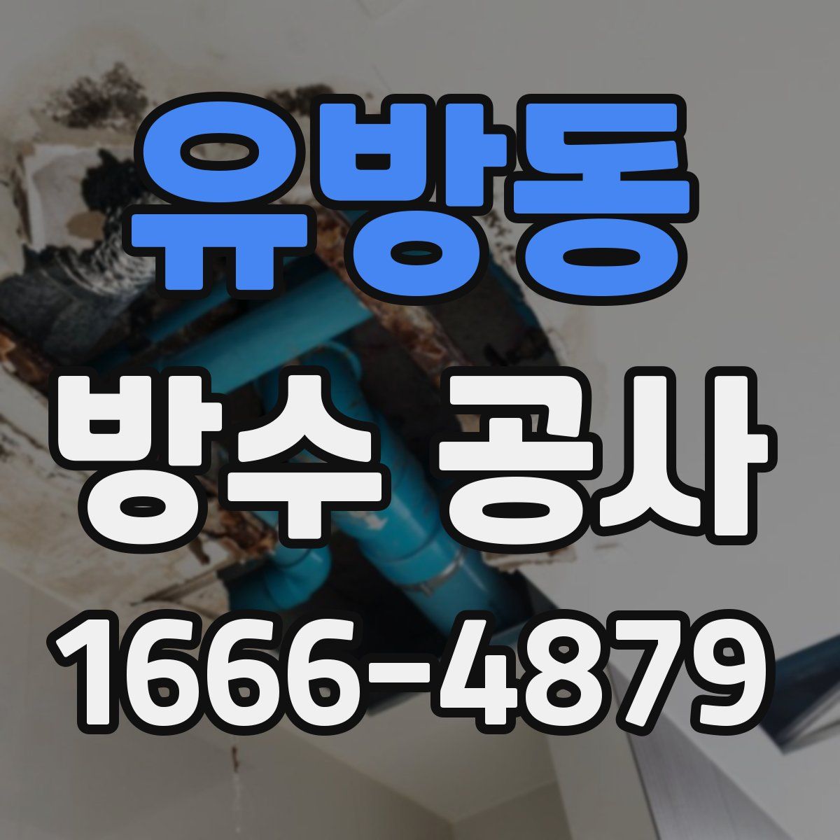 유방동 방수 공사