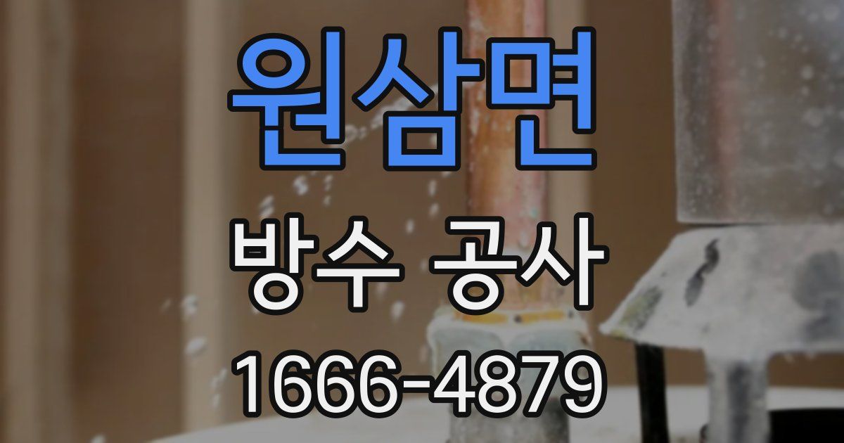 원삼면 방수 공사