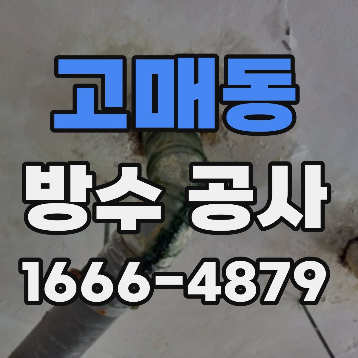 고매동 방수 공사