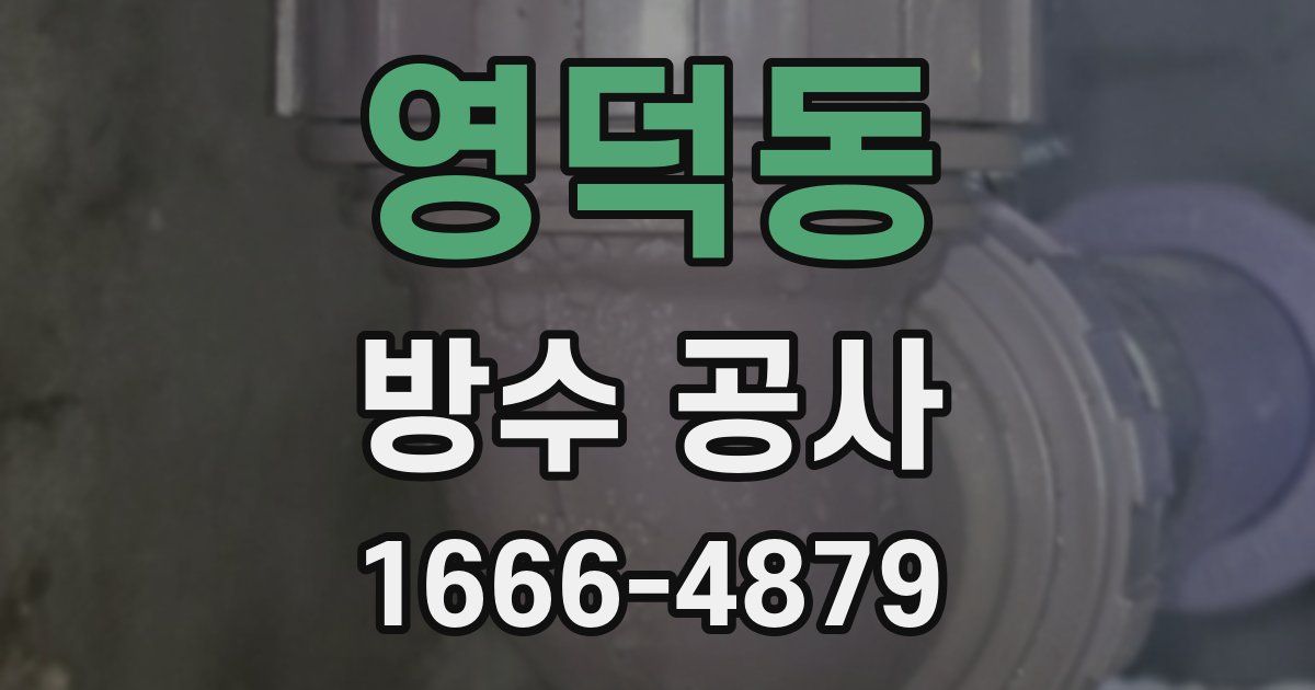 영덕동 방수 공사