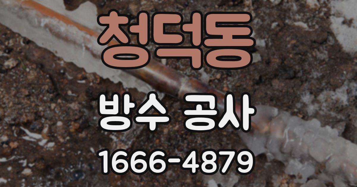 청덕동 방수 공사