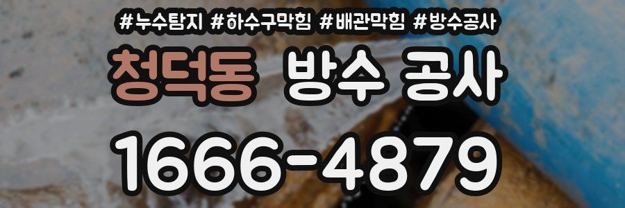 청덕동 방수 공사