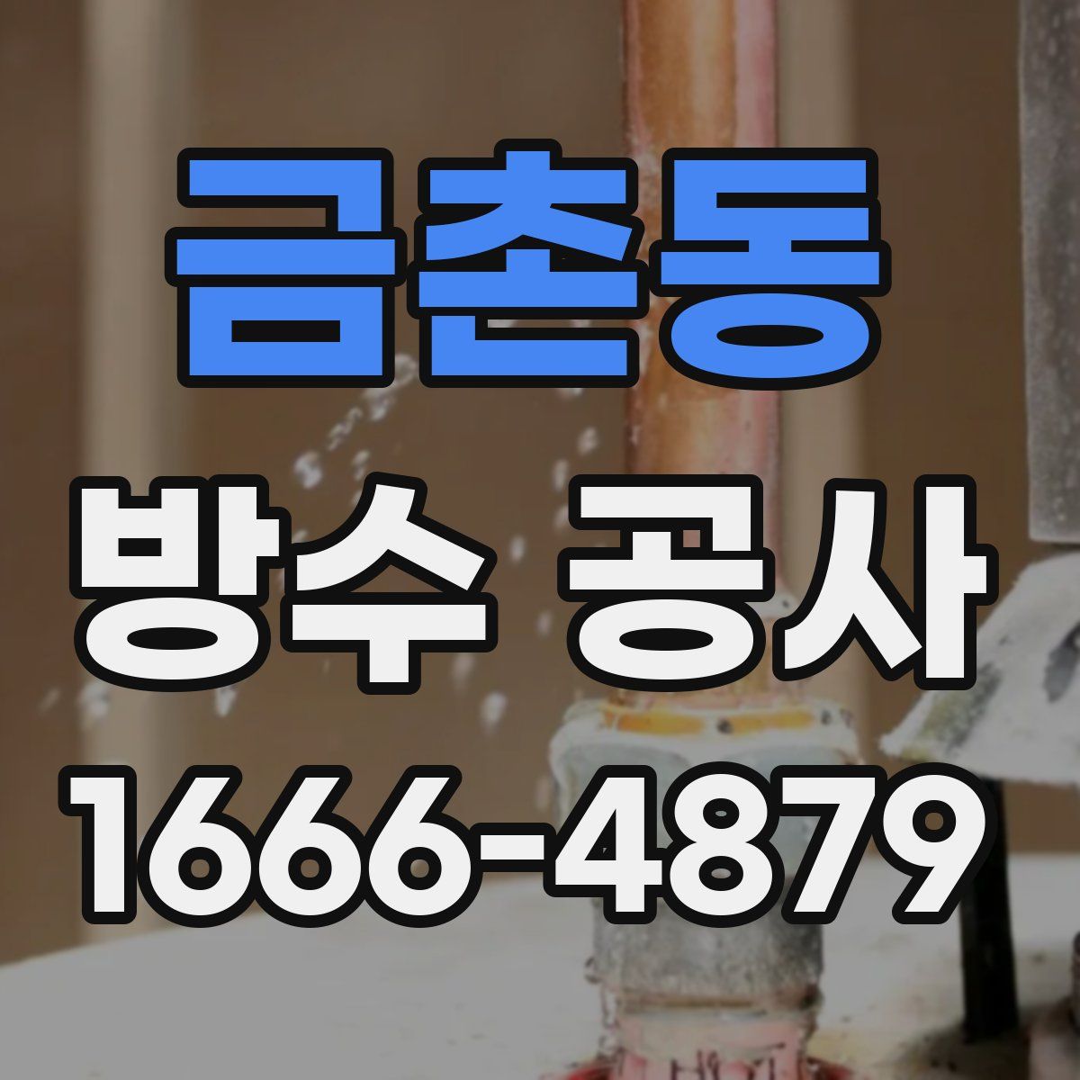 금촌동 방수 공사