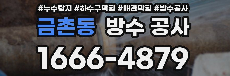 금촌동 방수 공사