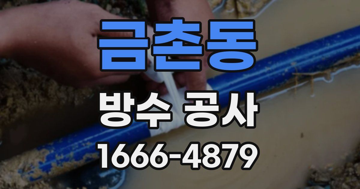 금촌동 방수 공사