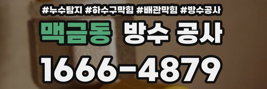 맥금동 방수 공사
