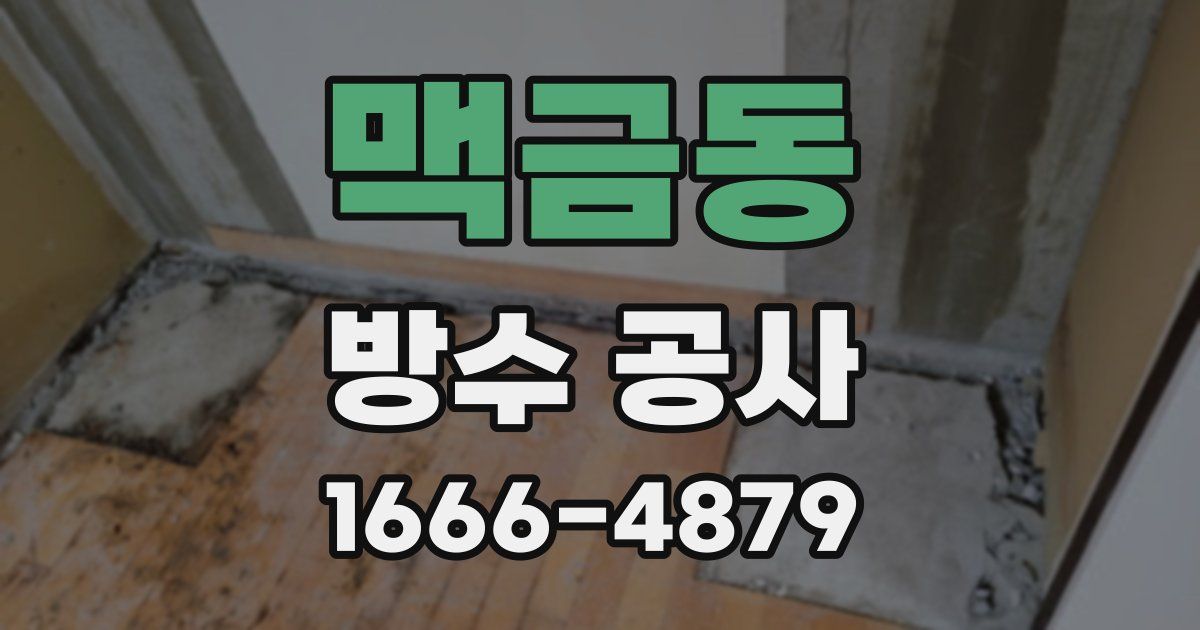 맥금동 방수 공사