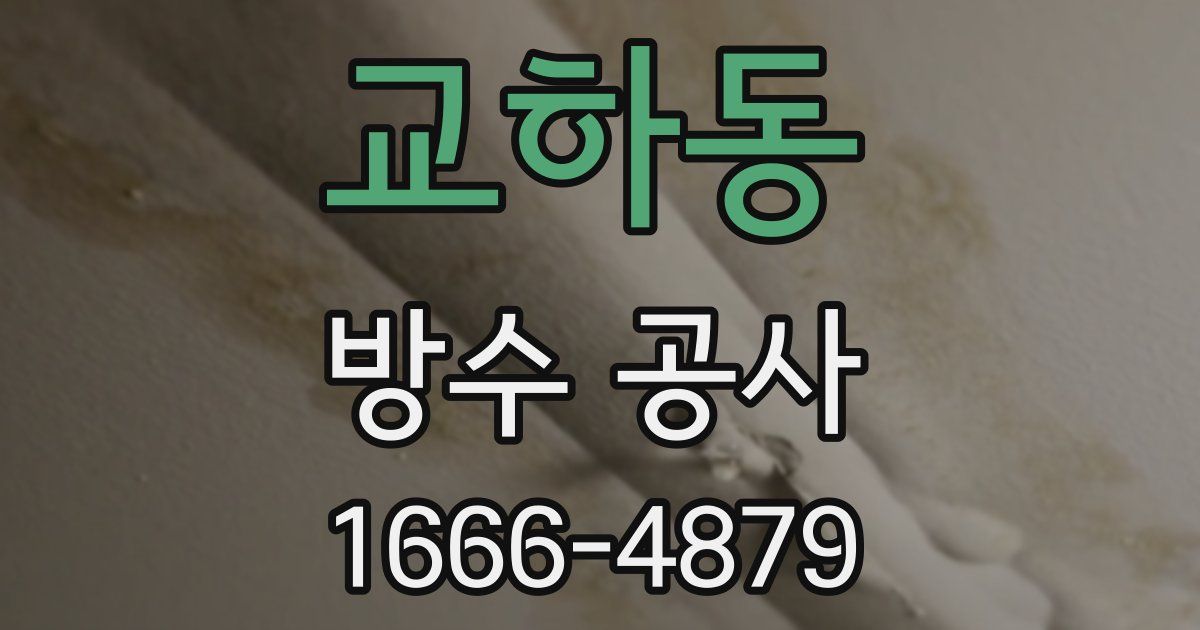 교하동 방수 공사