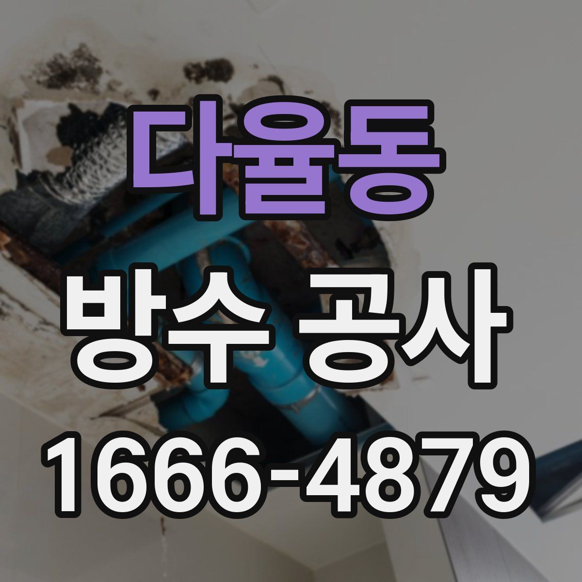 다율동 방수 공사