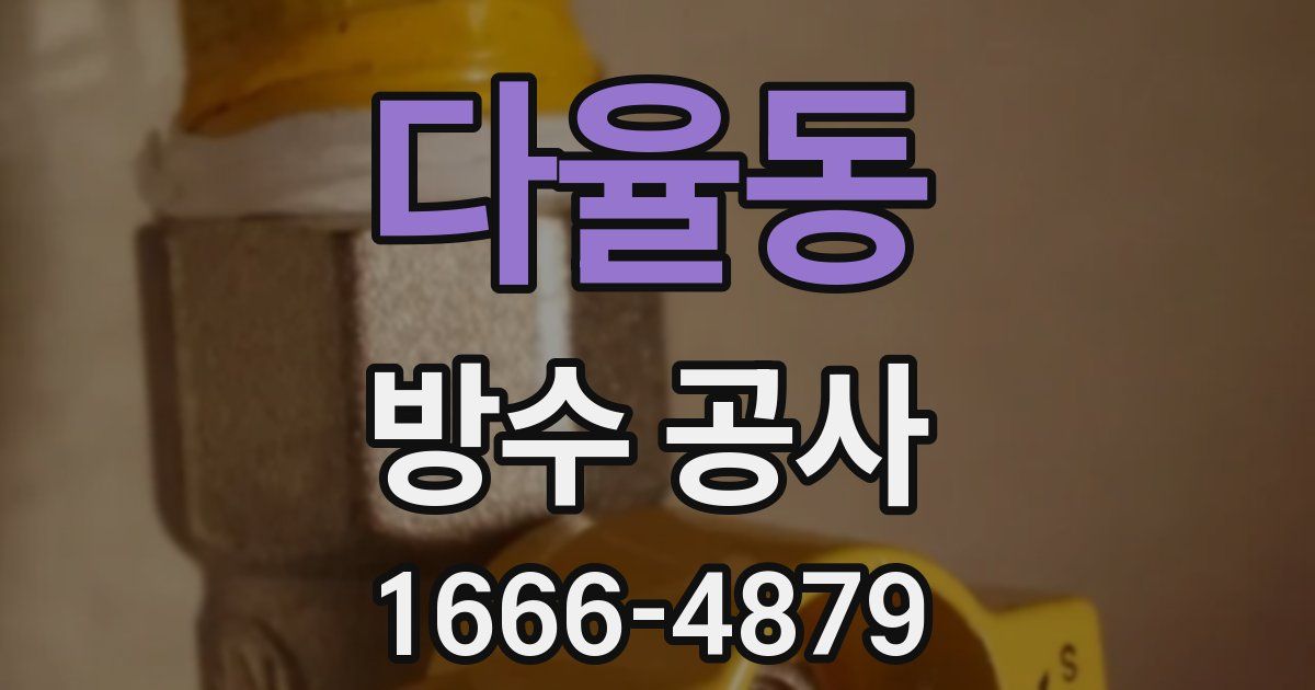 다율동 방수 공사
