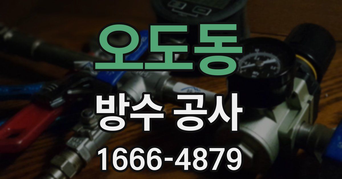 오도동 방수 공사