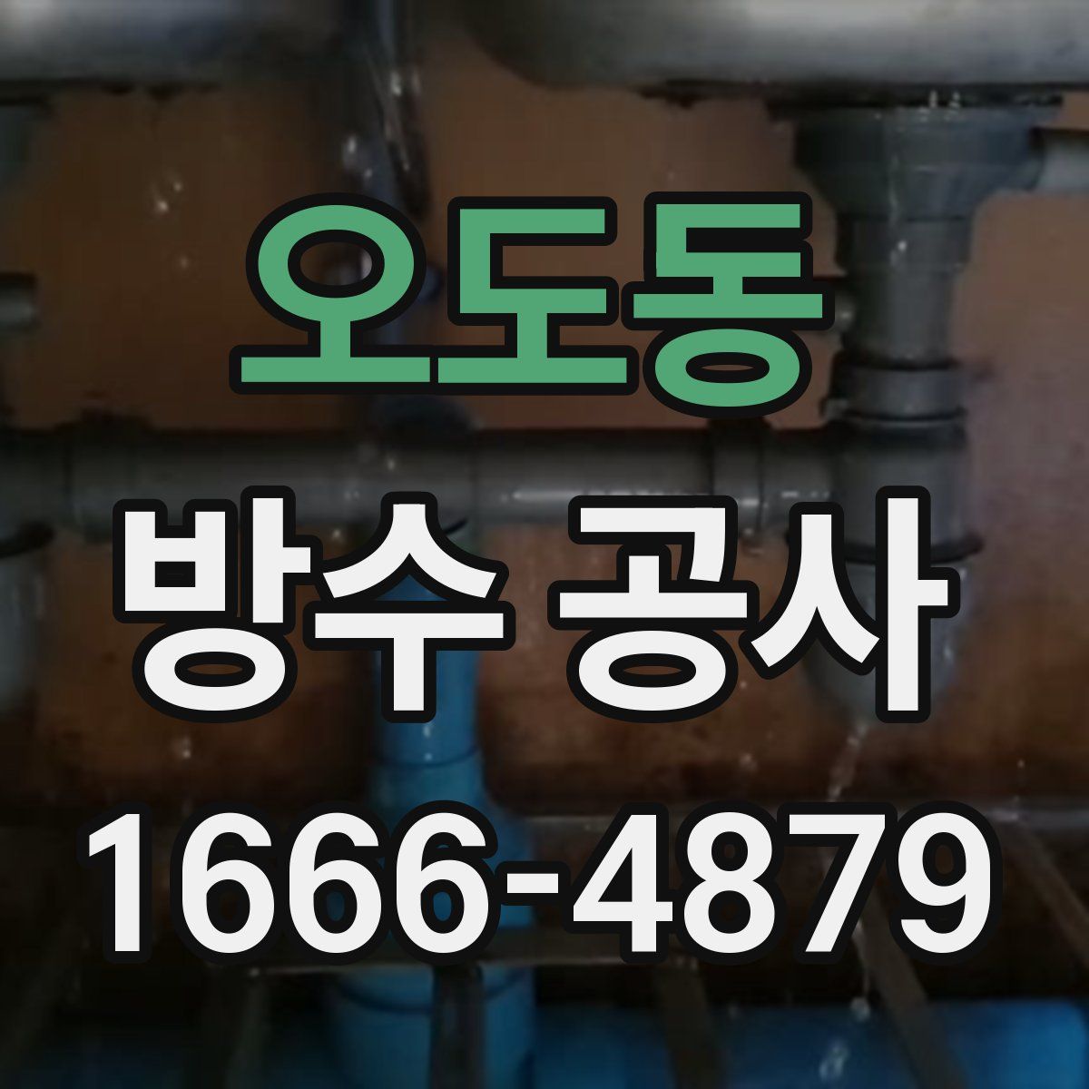 오도동 방수 공사