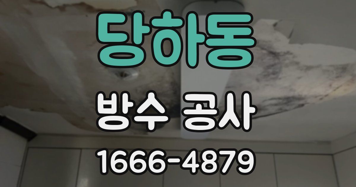 당하동 방수 공사