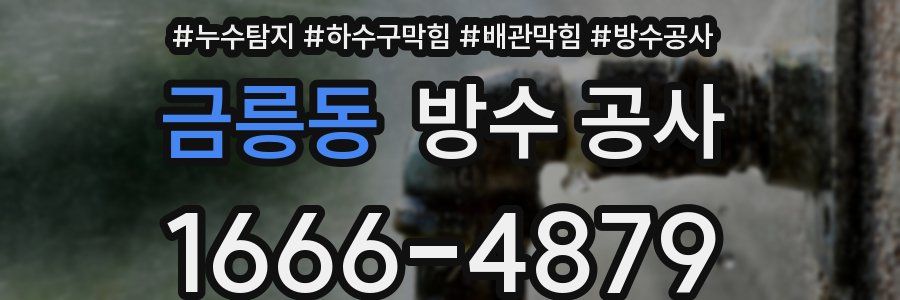 금릉동 방수 공사