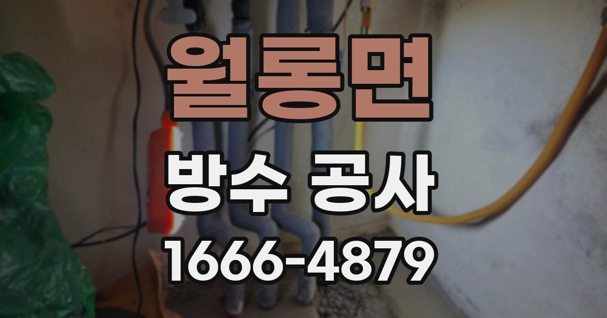 월롱면 방수 공사